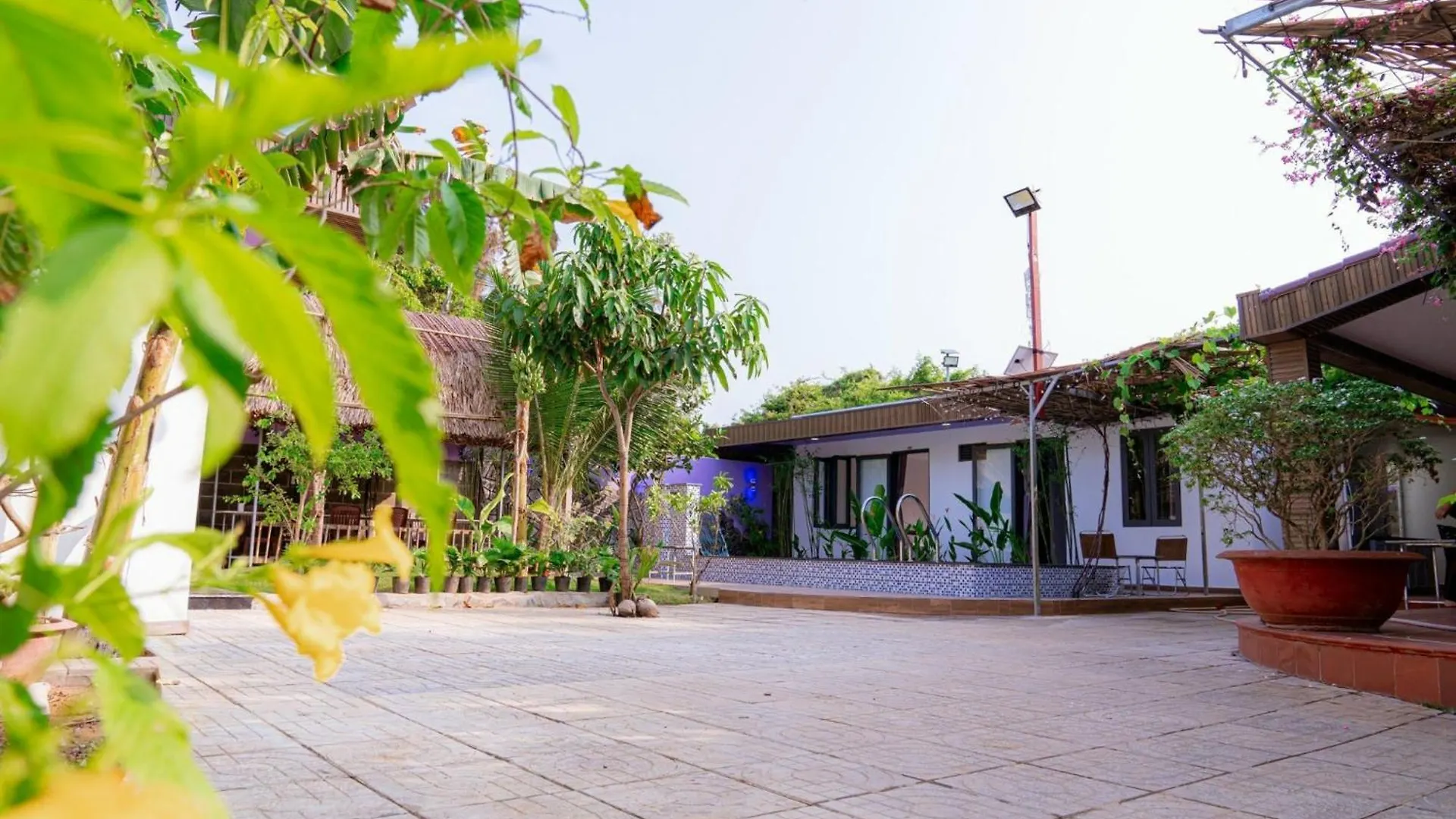 Lamo Villa Venuestay Βουνγκ Τάου